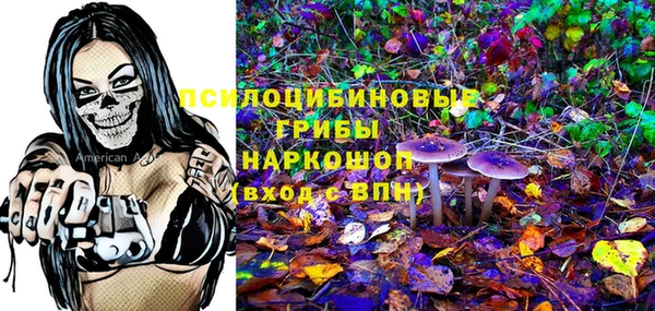 сатива Володарск