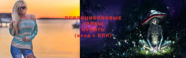 сатива Володарск