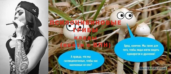 гидропоника Волоколамск