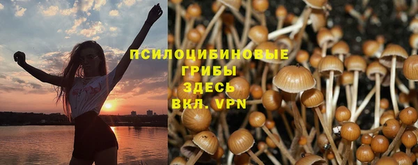 сатива Володарск