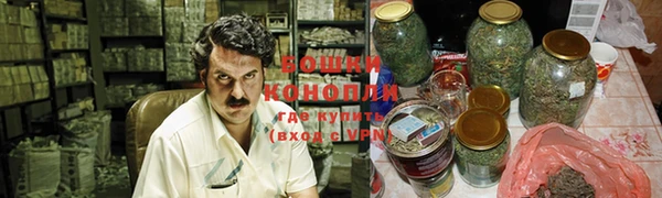 сатива Володарск