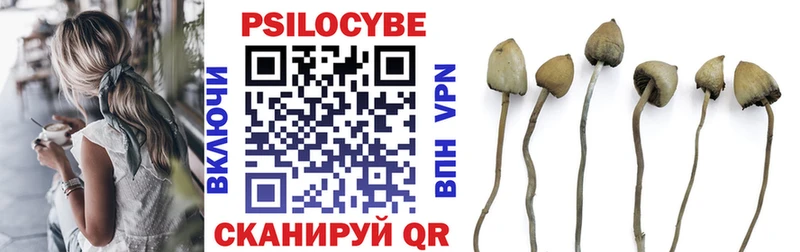 Купить  Волгореченск  Галлюциногенные грибы Magic Shrooms 