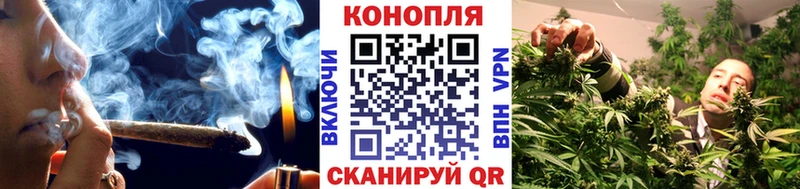 Бошки Шишки семена  Купить  Волгореченск 